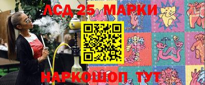 гидропоника Можга