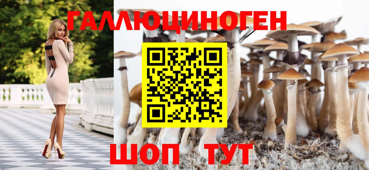 Салават  Галлюциногенные грибы ЛСД  Вход с VPN  Галлюциногенные грибы ЛСД 