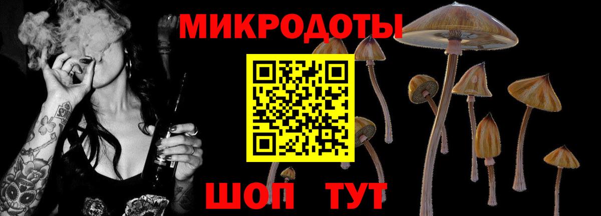 Псилоцибиновые грибы Psilocybe Салават